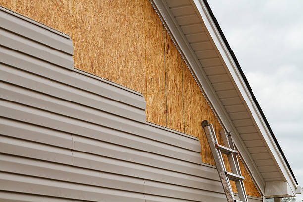 Professional Siding Repair technician working in Holliston, MA